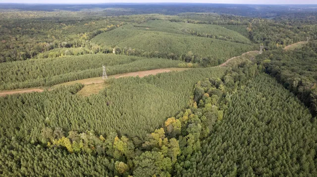 $599,900 | 0 Old Richmond Road, Nunnelly, TN 37137