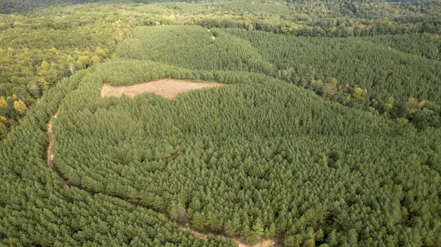 $599,900 | 0 Old Richmond Road, Nunnelly, TN 37137