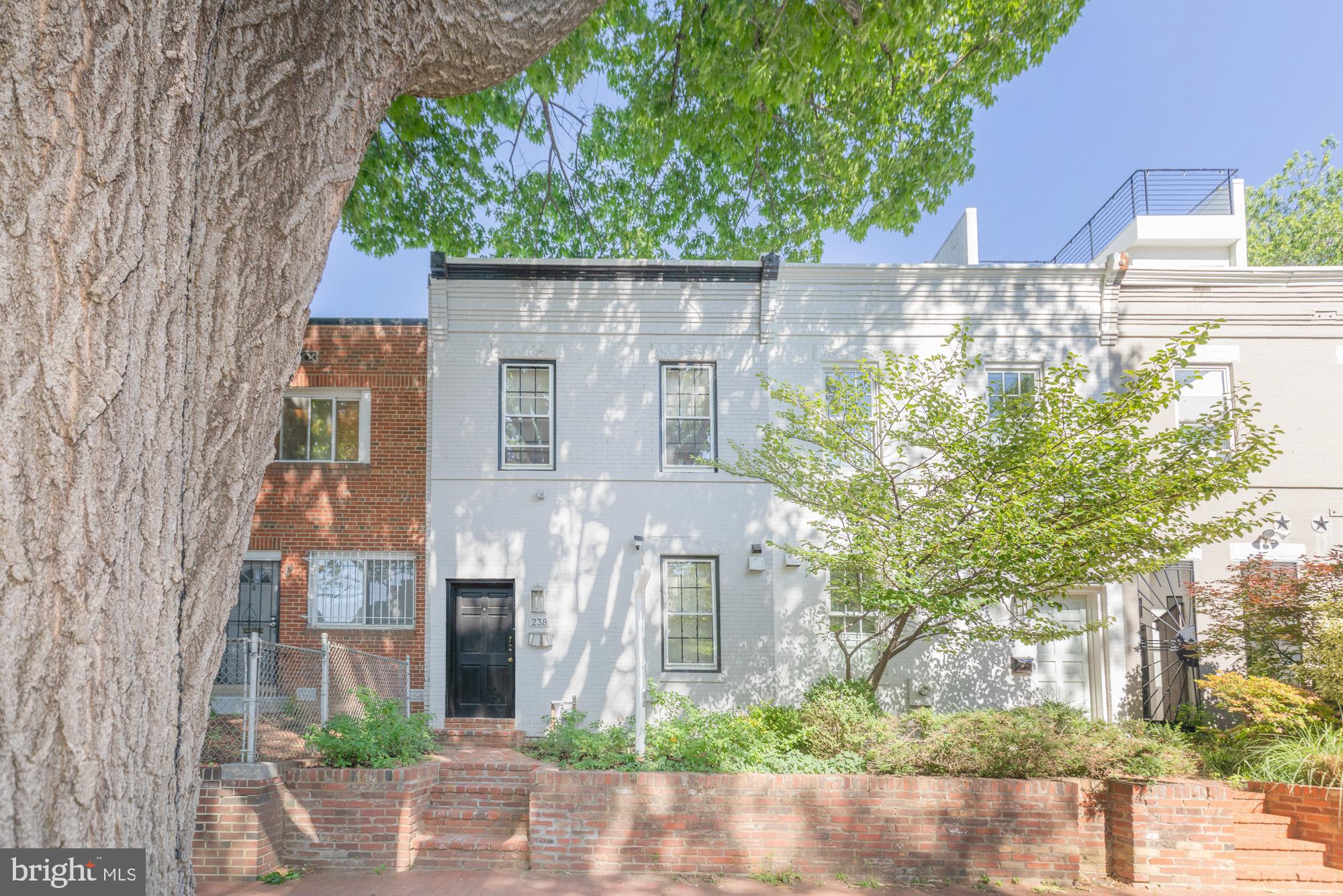 238 14th Street Southeast Washington, DC 20003 - Photo 1 of 45