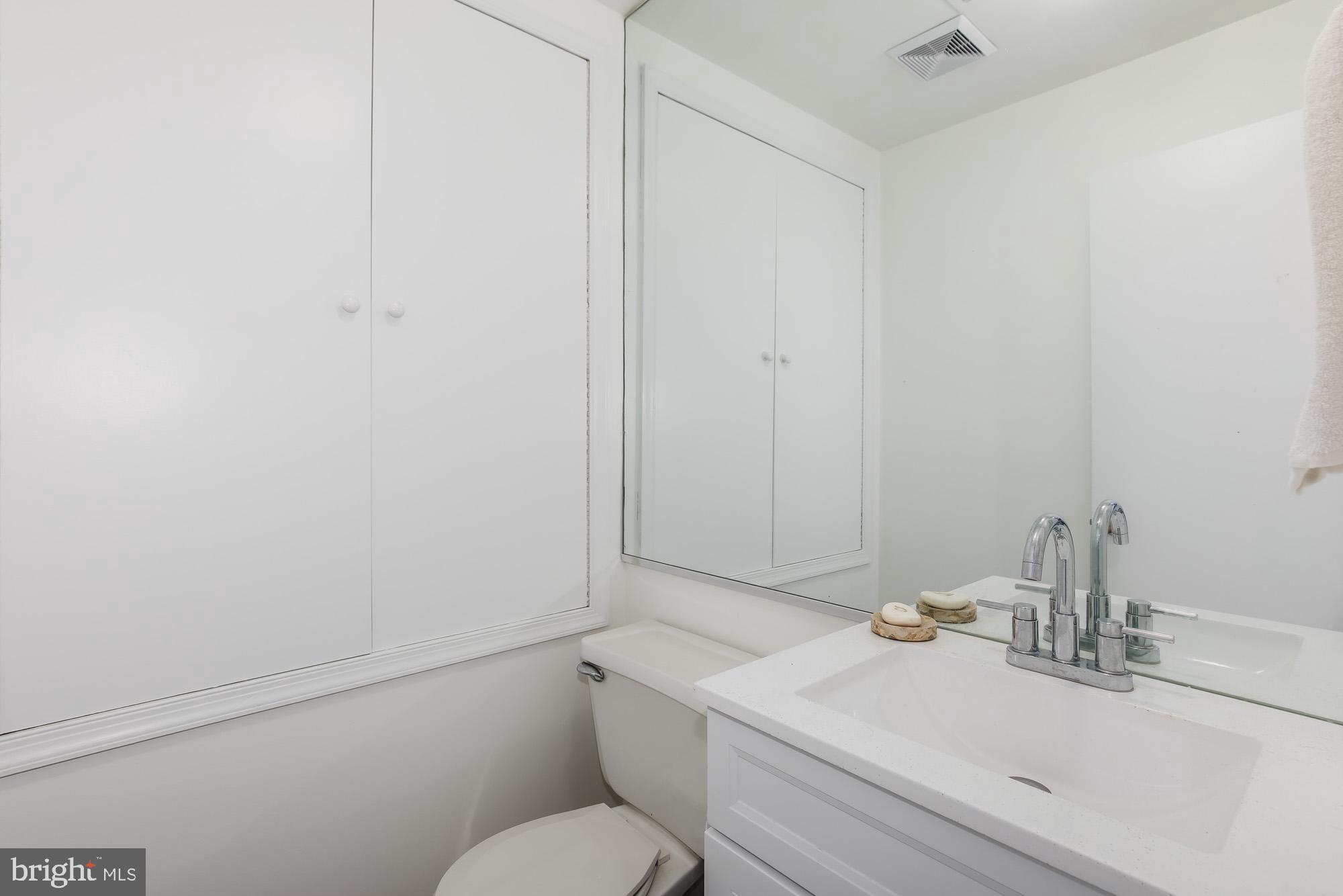 238 14th Street Southeast Washington, DC 20003 - Photo 19 of 45 Powder room main level