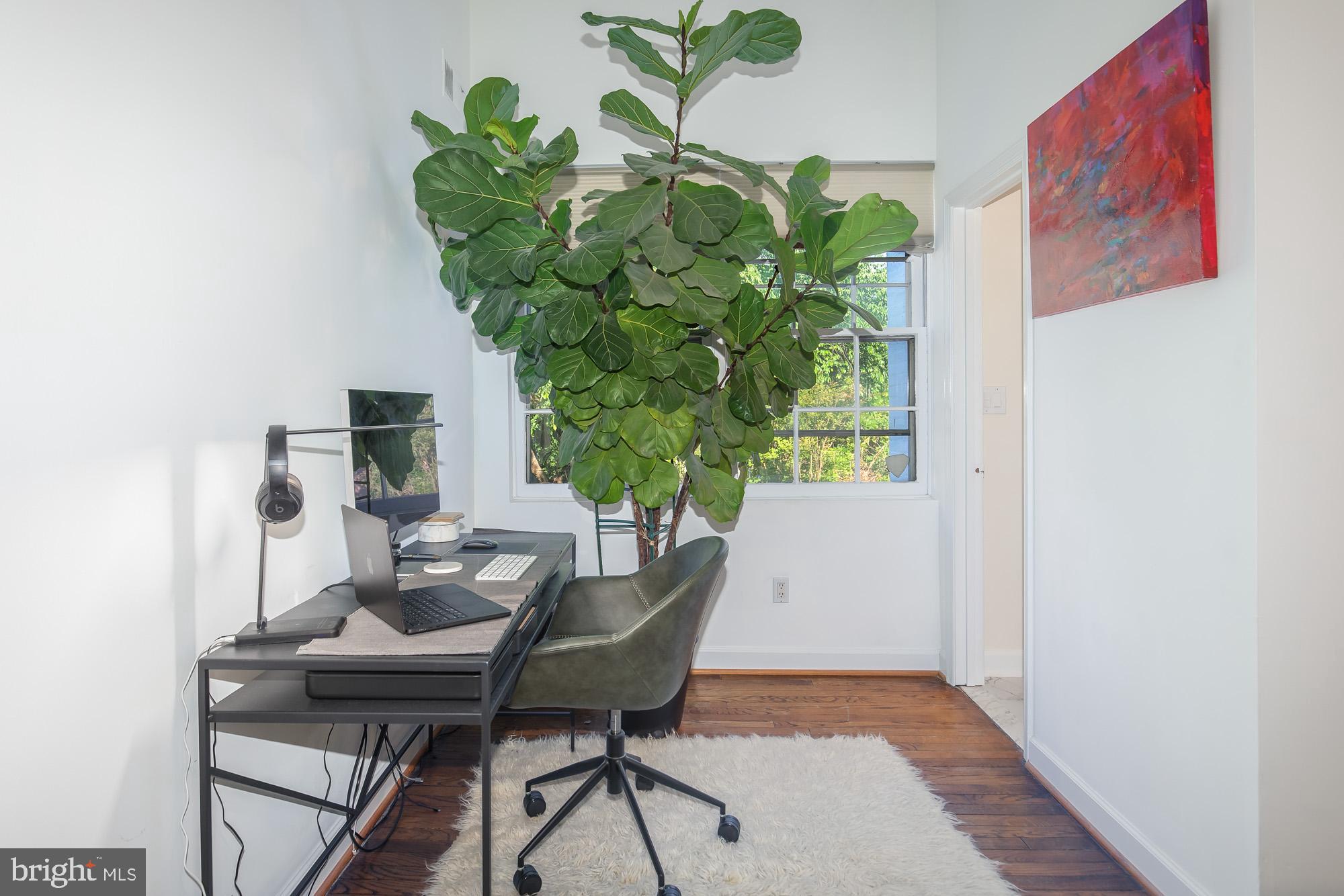 238 14th Street Southeast Washington, DC 20003 - Photo 22 of 45
