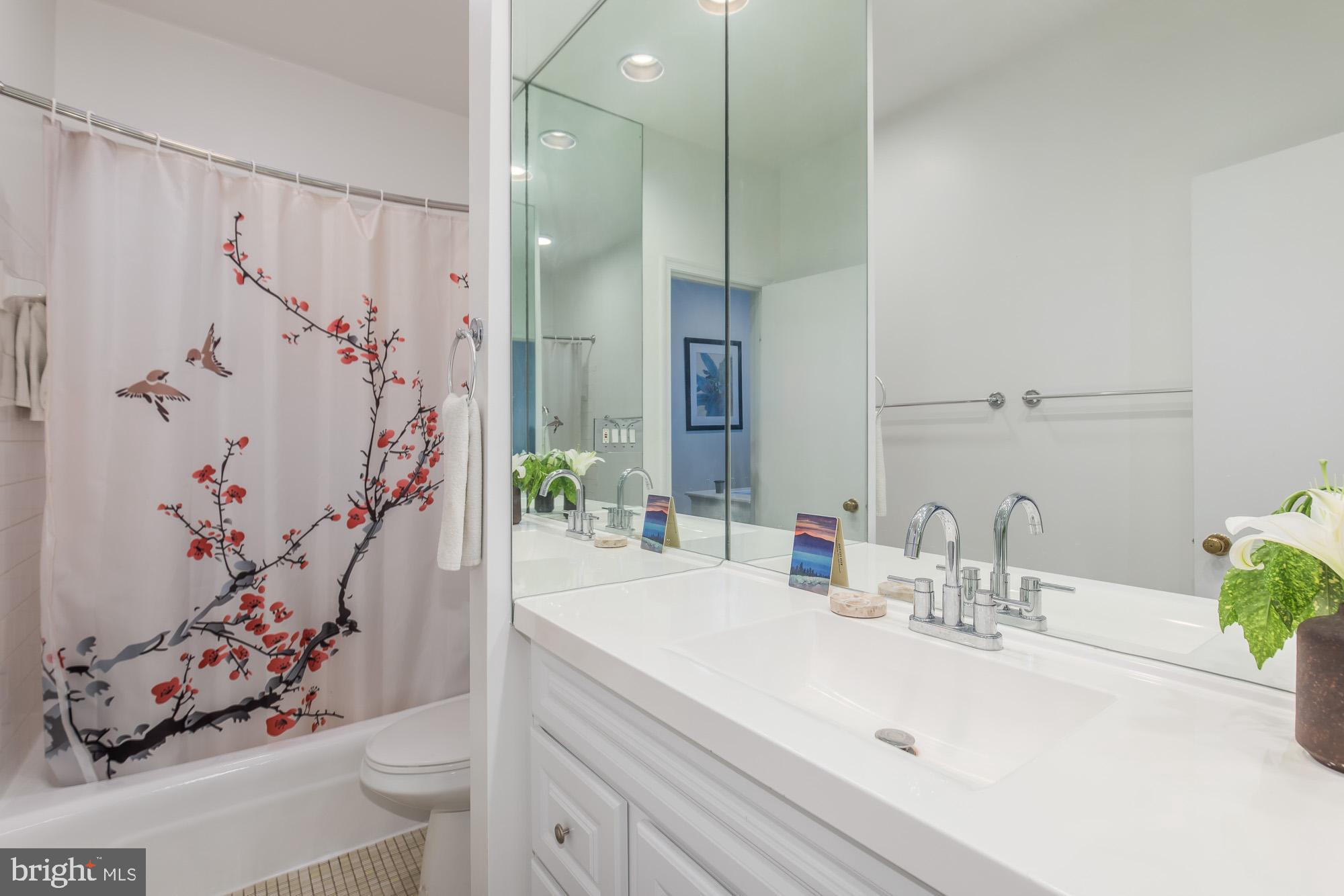 238 14th Street Southeast Washington, DC 20003 - Photo 33 of 45