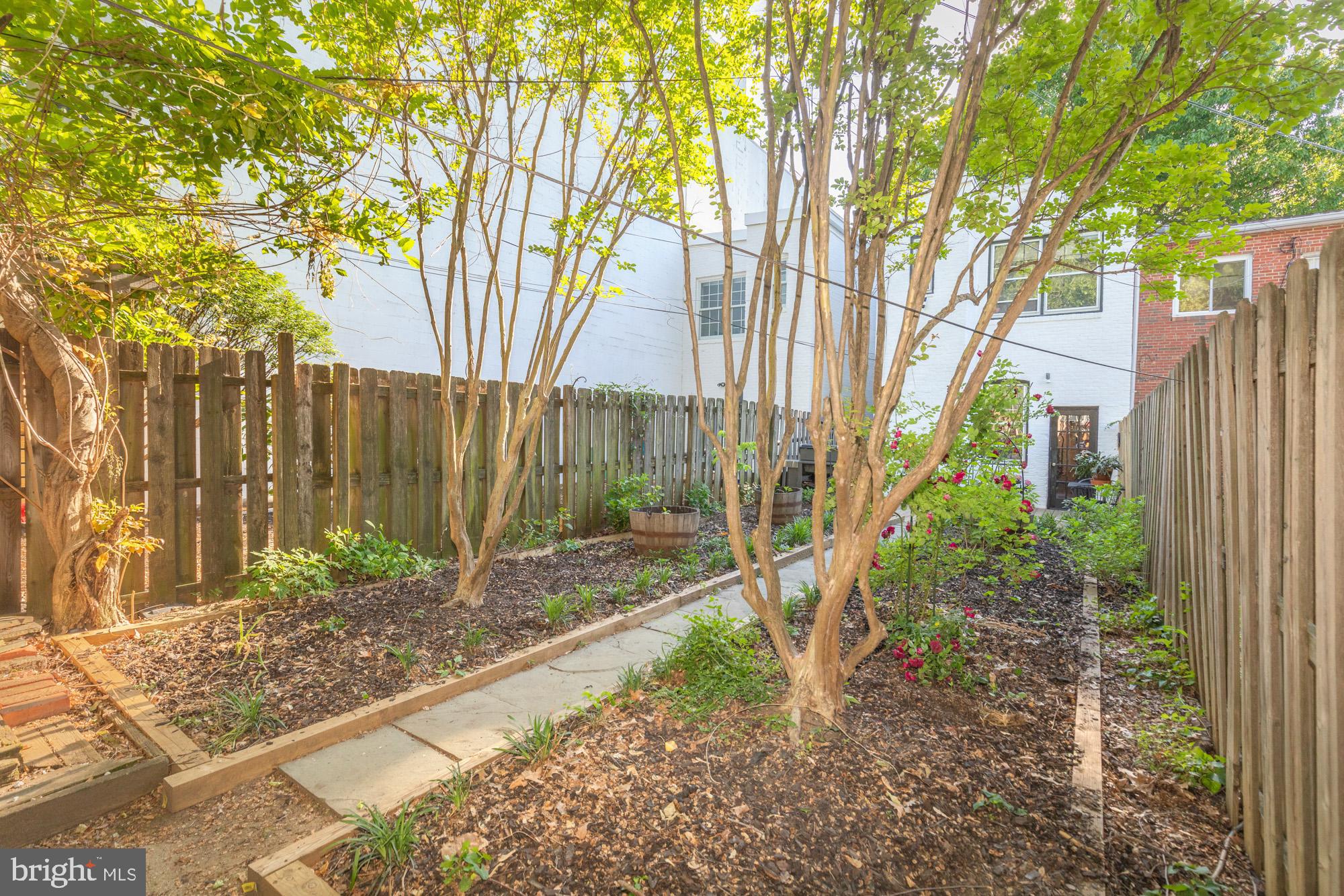 238 14th Street Southeast Washington, DC 20003 - Photo 42 of 45