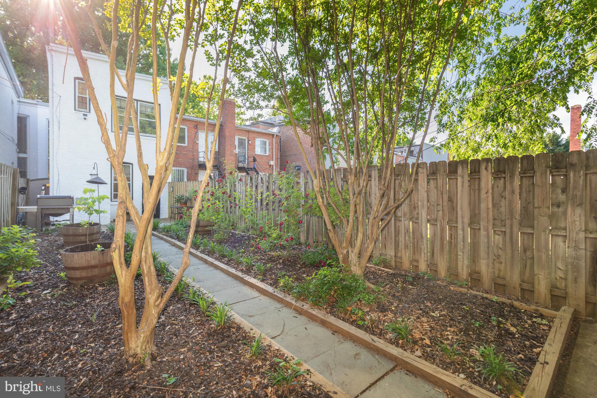 238 14th Street Southeast Washington, DC 20003 - Photo 43 of 45