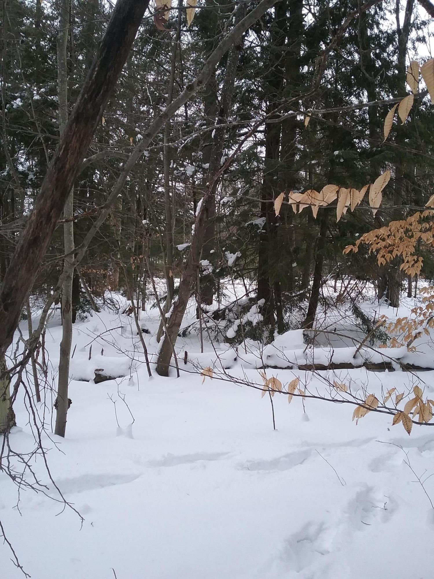 Murner Road Gaylord, MI 49735 - Photo 10 of 16
