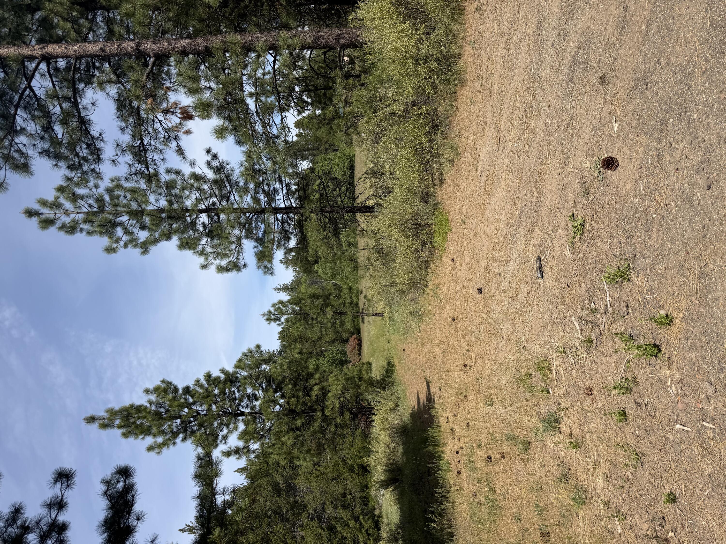 0 N Street Klamath Falls, OR 97601 - Photo 1 of 1 Lot 197-198