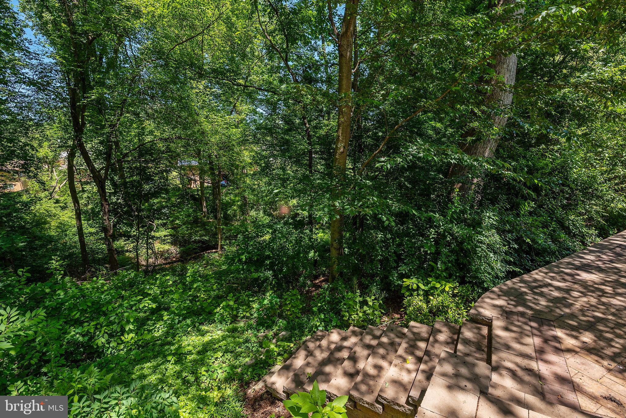 1522 Ainsley Road Silver Spring, MD 20904 - Photo 38 of 46 Stairs down hill to the stream below