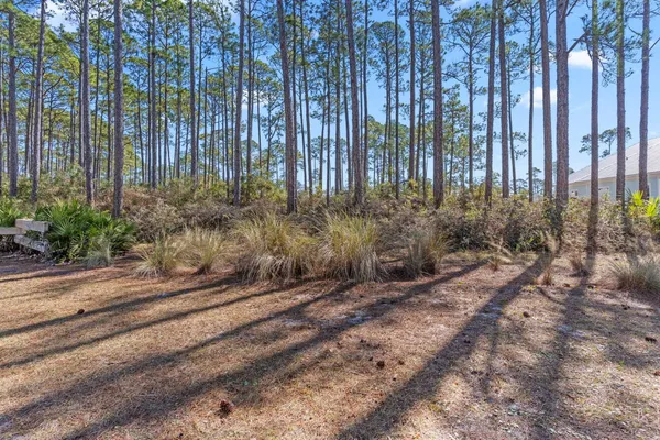 $67,500 | 3465 Firefly Circle, Sopchoppy, FL 32358