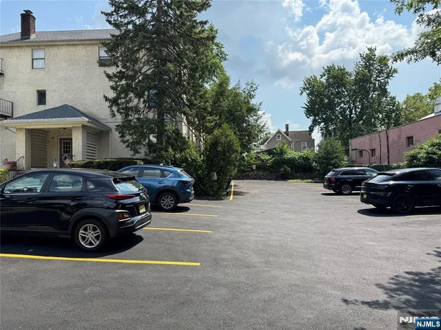a view of a yard with plants