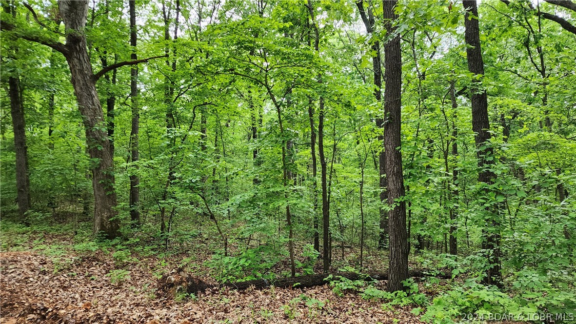 31164 Broken Circle Road Stover, MO 65078 - Photo 1 of 1 Plenty of perfect building sites