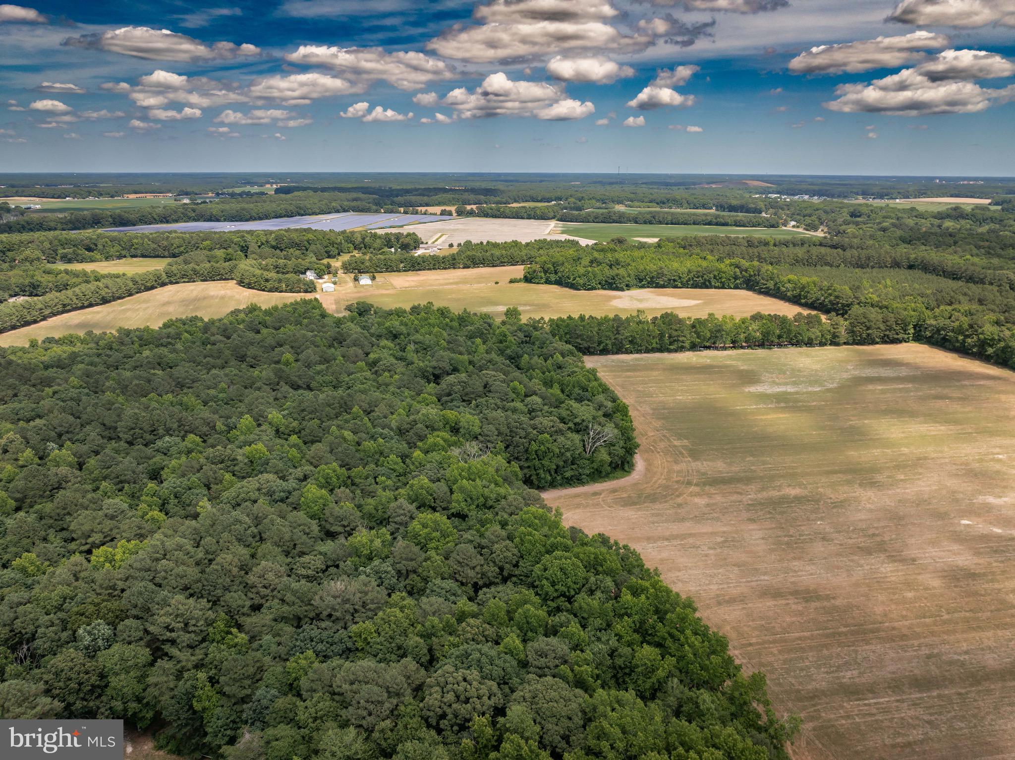 7475 Longfield Drive Hebron, MD 21830 - Photo 101 of 104