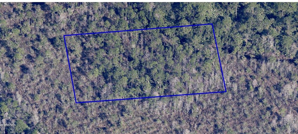 No Name Grant, FL 32949 - Photo 1 of 8