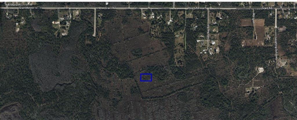 No Name Grant, FL 32949 - Photo 4 of 8