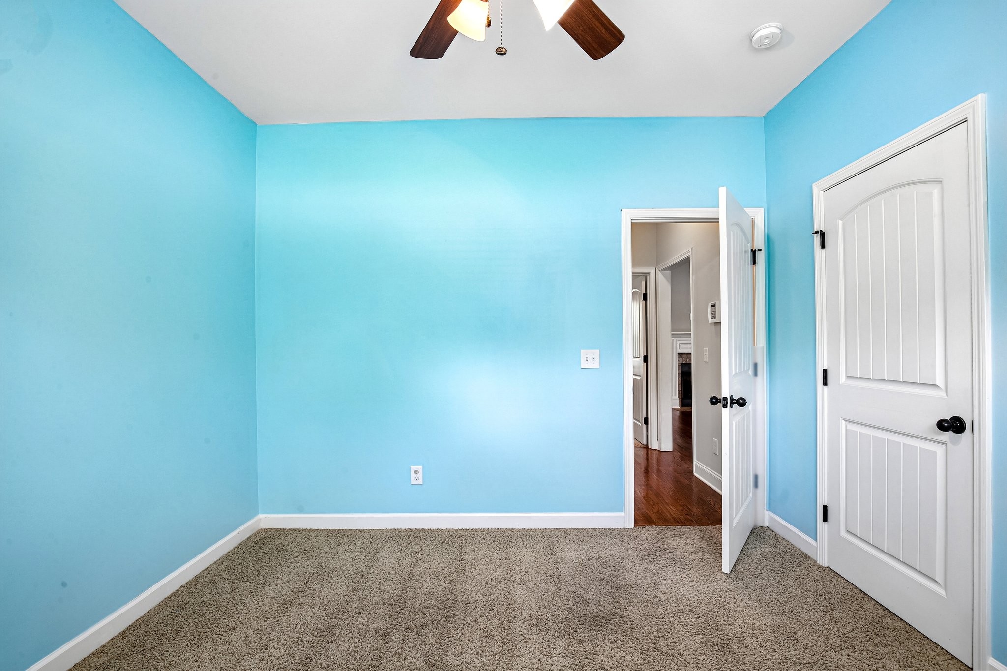 316 Amazonway Ridge Lascassas, TN 37085 - Photo 21 of 34
