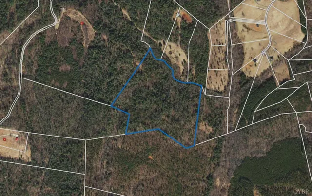 a view of a lush green space