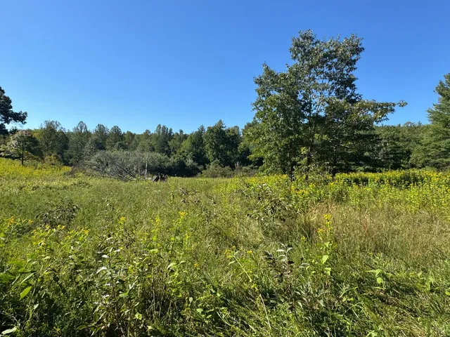 $199,900 | 0 Waughs Ferry Crossing, Monroe, VA 24574