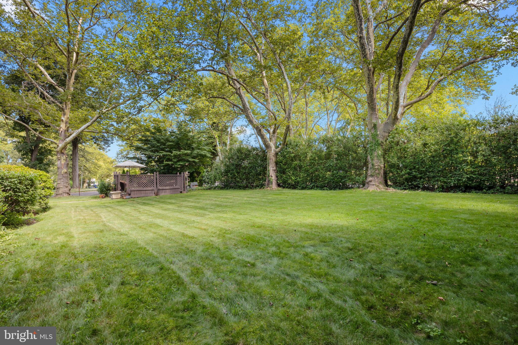1708 Madeira Avenue Jenkintown, PA 19046 - Photo 54 of 63 a view of a field with trees in front of it