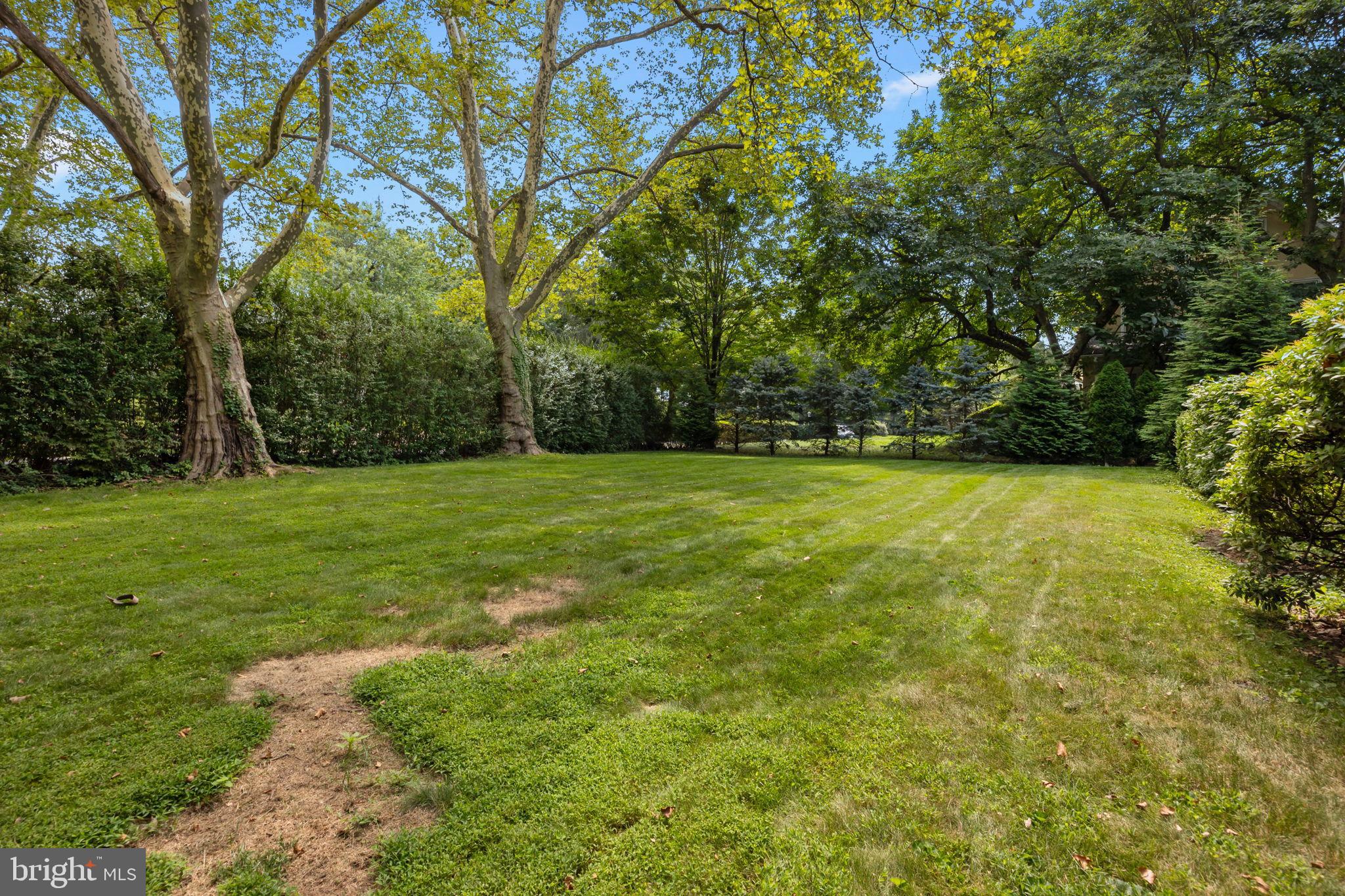 1708 Madeira Avenue Jenkintown, PA 19046 - Photo 56 of 63 a view of a grassy field with trees in the background