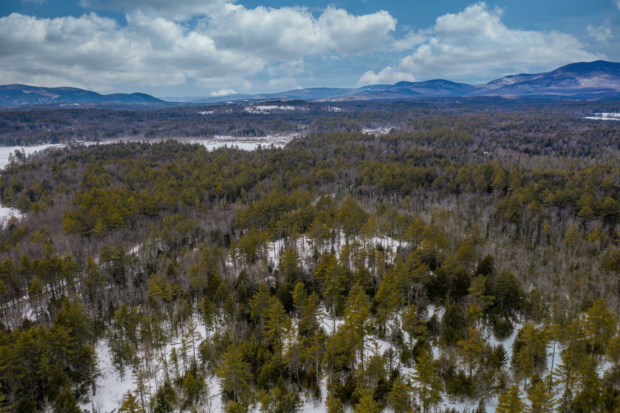 316 Middle Road Sandwich, NH 03883 - Photo 12 of 18