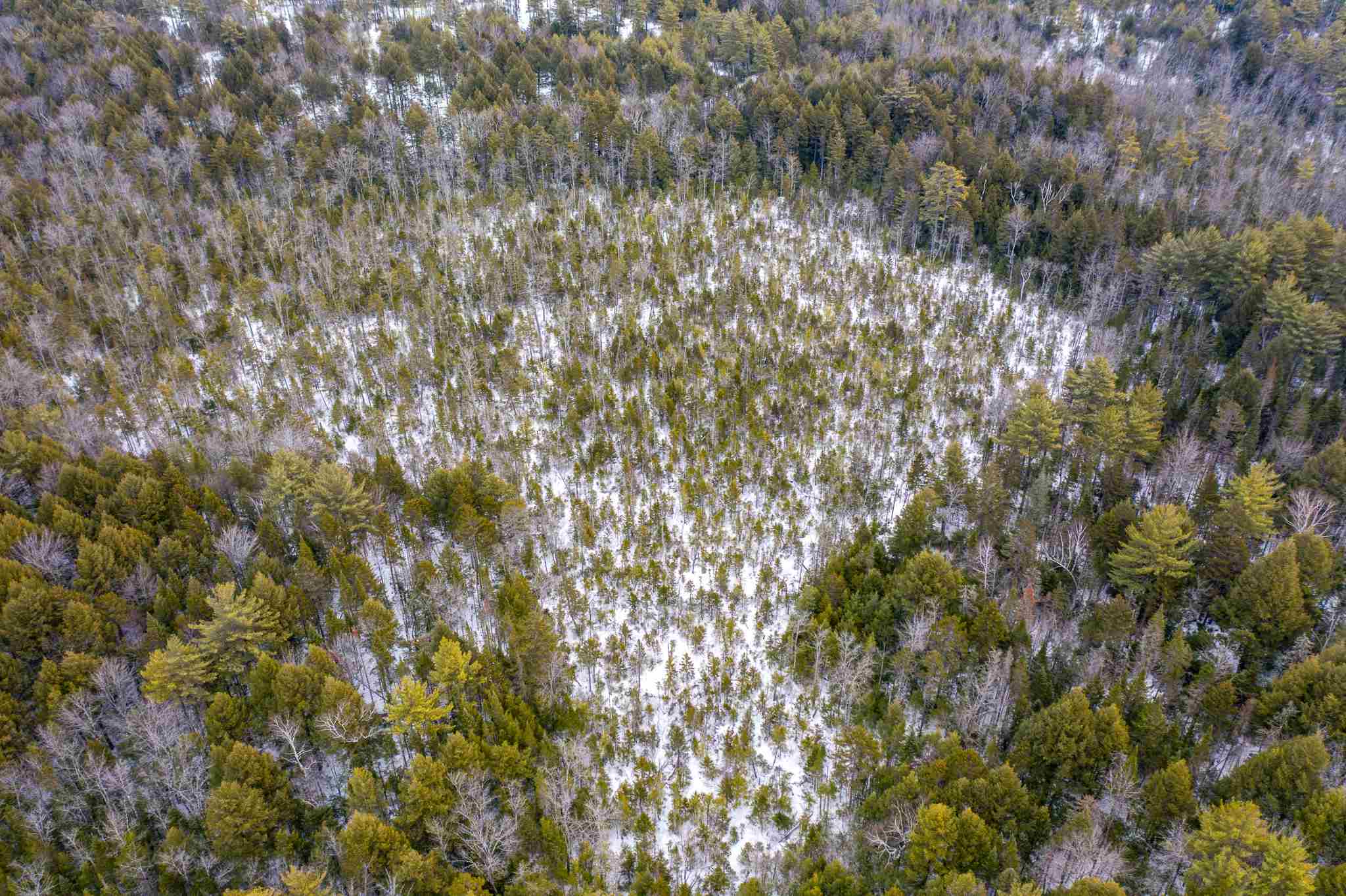 316 Middle Road Sandwich, NH 03883 - Photo 7 of 18