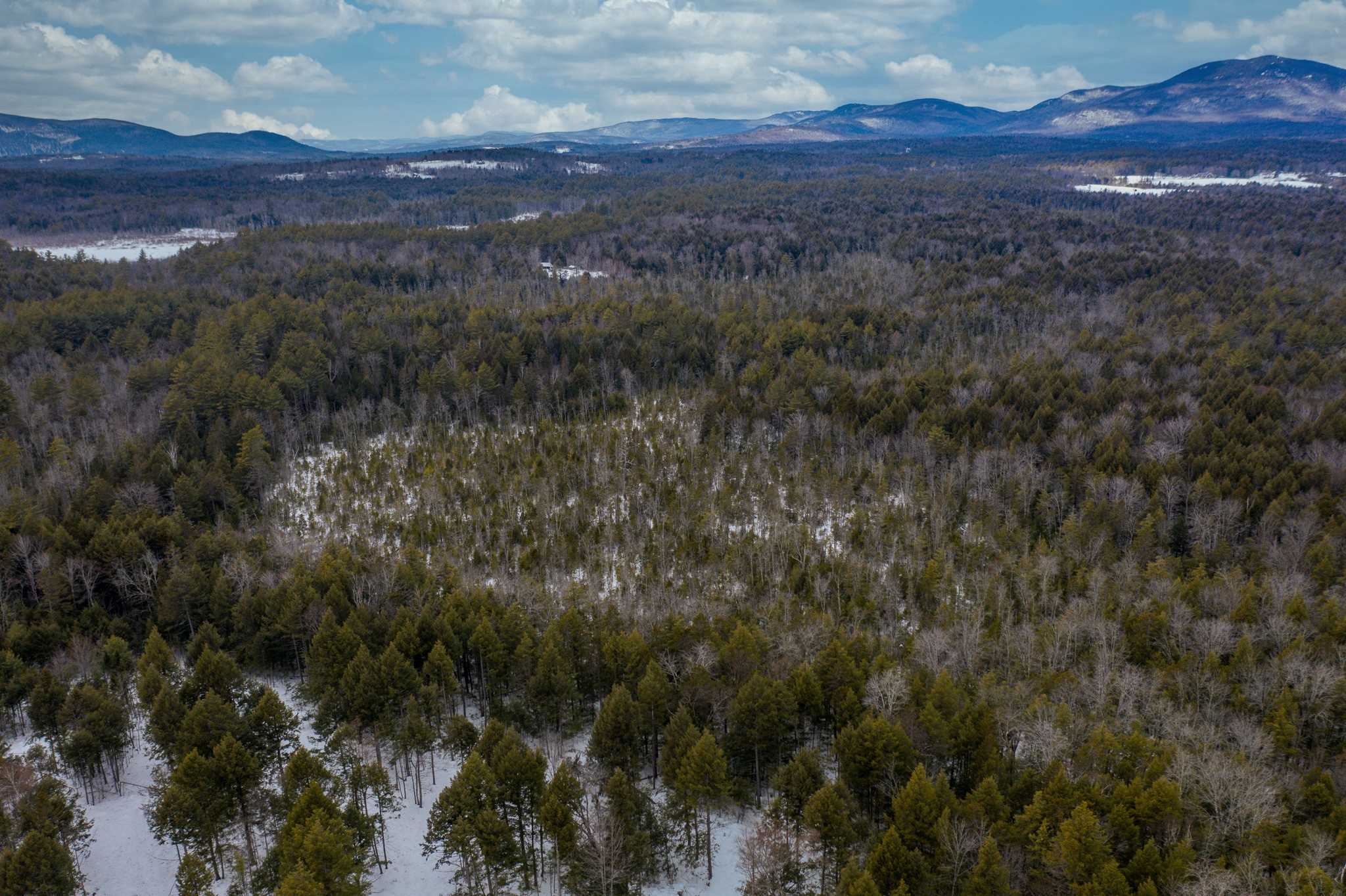 316 Middle Road Sandwich, NH 03883 - Photo 8 of 18