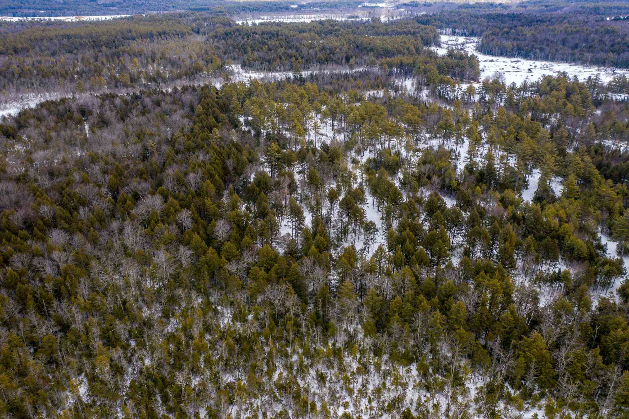 316 Middle Road Sandwich, NH 03883 - Photo 10 of 18
