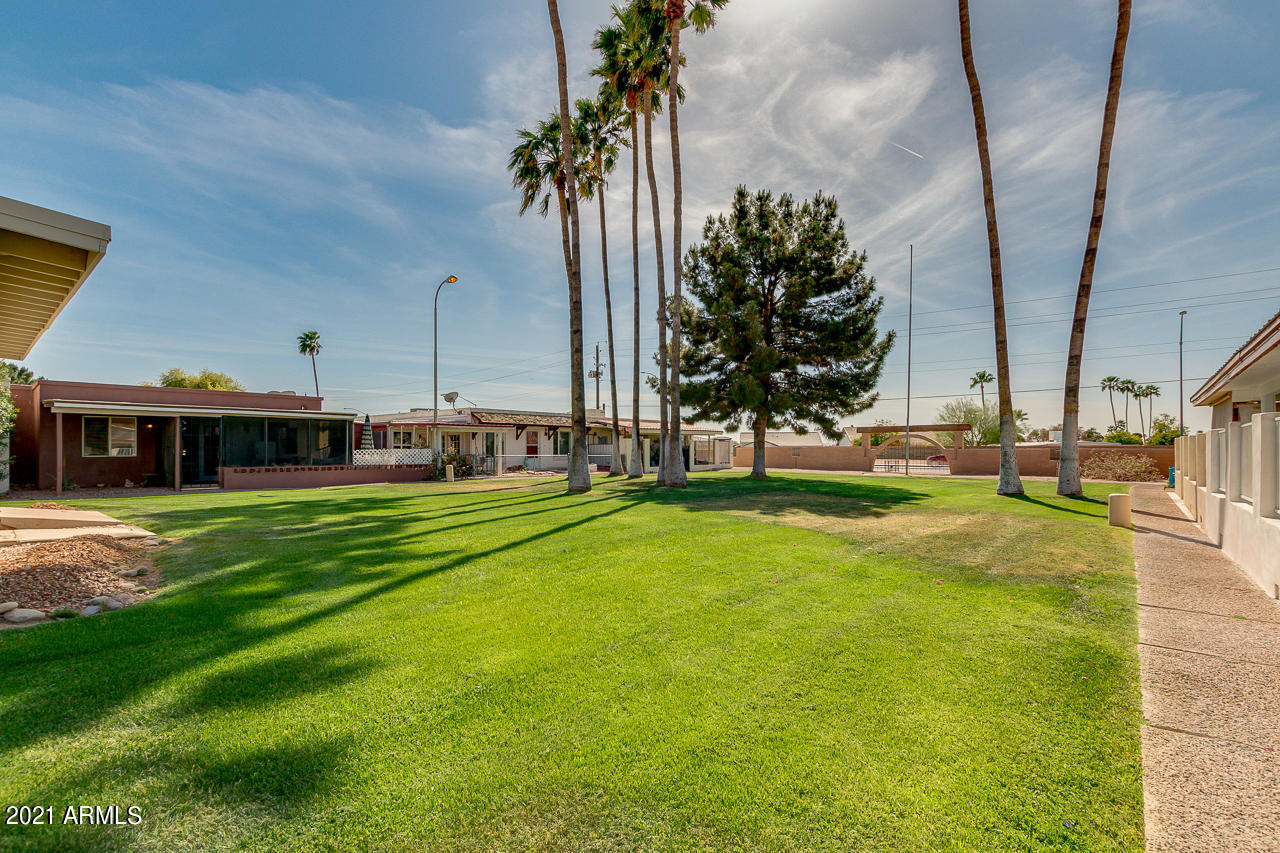 2205 North Recker Road Mesa, AZ 85215 - Photo 27 of 31 Great Palm Trees