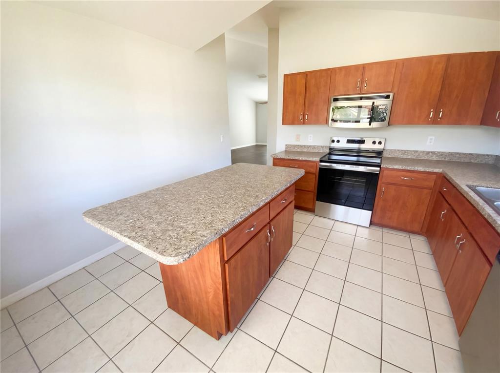 25241 7 Rivers Circle Land O Lakes, FL 34639 - Photo 11 of 29