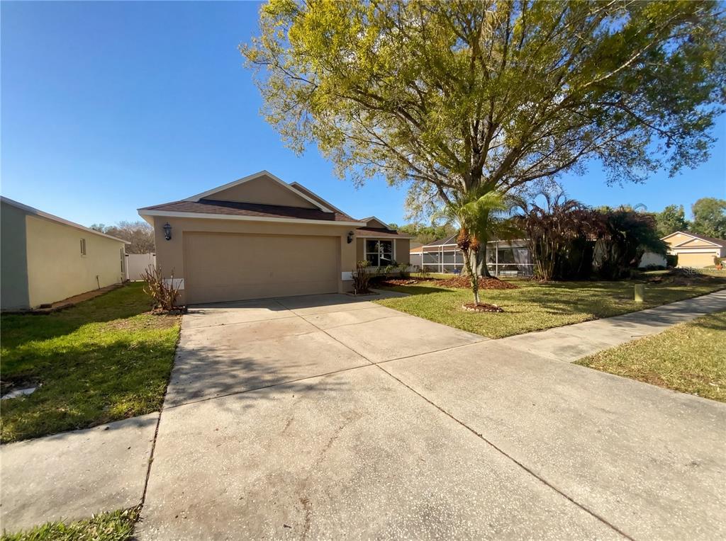 25241 7 Rivers Circle Land O Lakes, FL 34639 - Photo 6 of 29