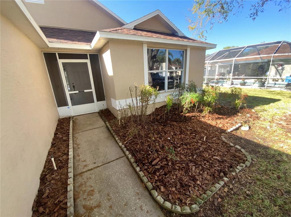 25241 7 Rivers Circle Land O Lakes, FL 34639 - Photo 9 of 29