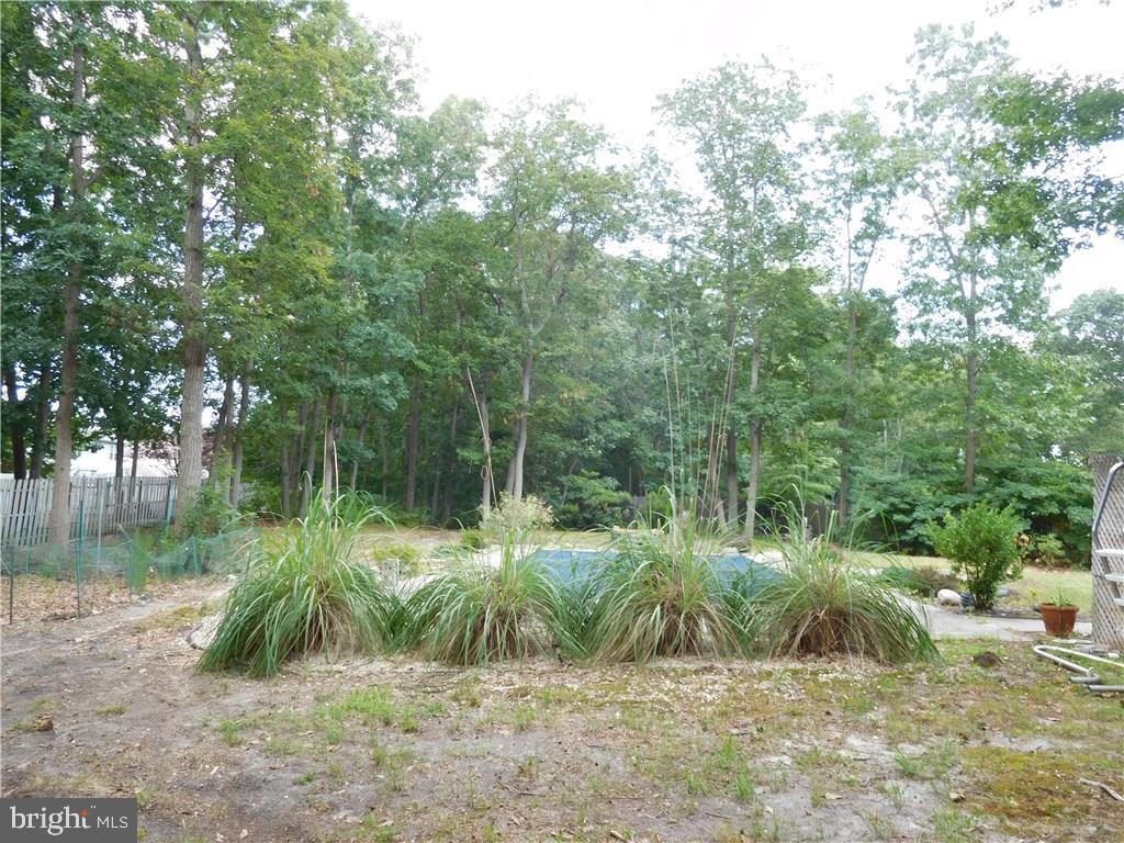 55 Darien Road Howell, NJ 07731 - Photo 8 of 36