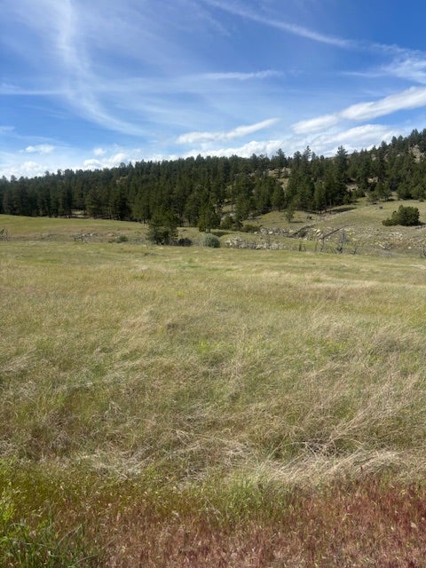 147 Haystack Coulee Road Reed Point, MT 59069 - Photo 13 of 15 Gallery Image 13