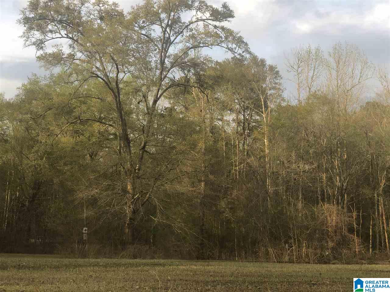193 Brooks Road, Unit 2 Ragland, AL 35131 - Photo 36 of 47 Gallery Image 36