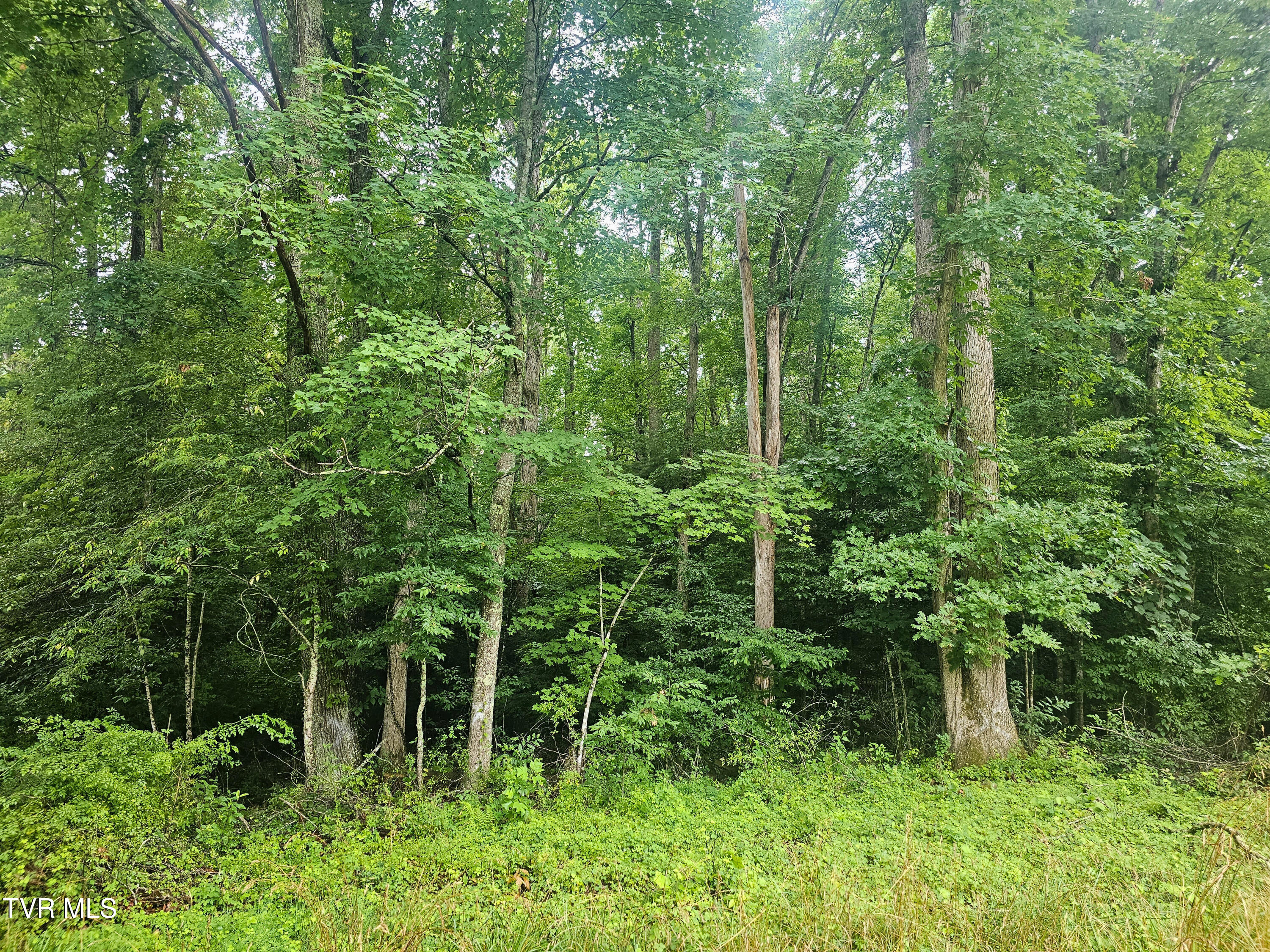 Tbd Gardner Heights Road, Unit 9 Norton, VA 24273 - Photo 7 of 14 property view