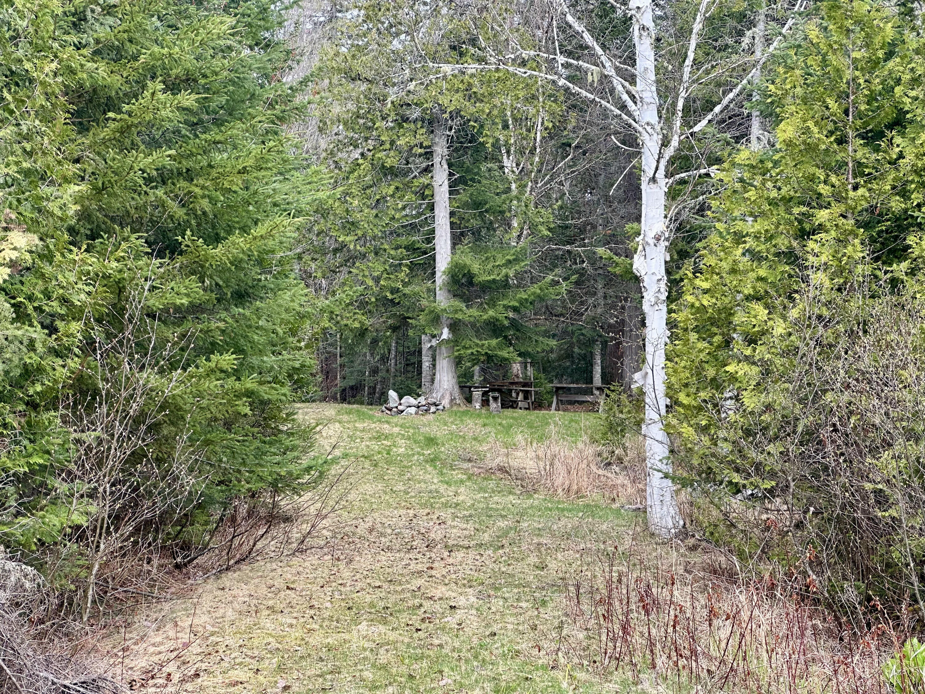 2318 Toe Of The Boot Road Rockwood, ME 04478 - Photo 16 of 19 IMG_4528