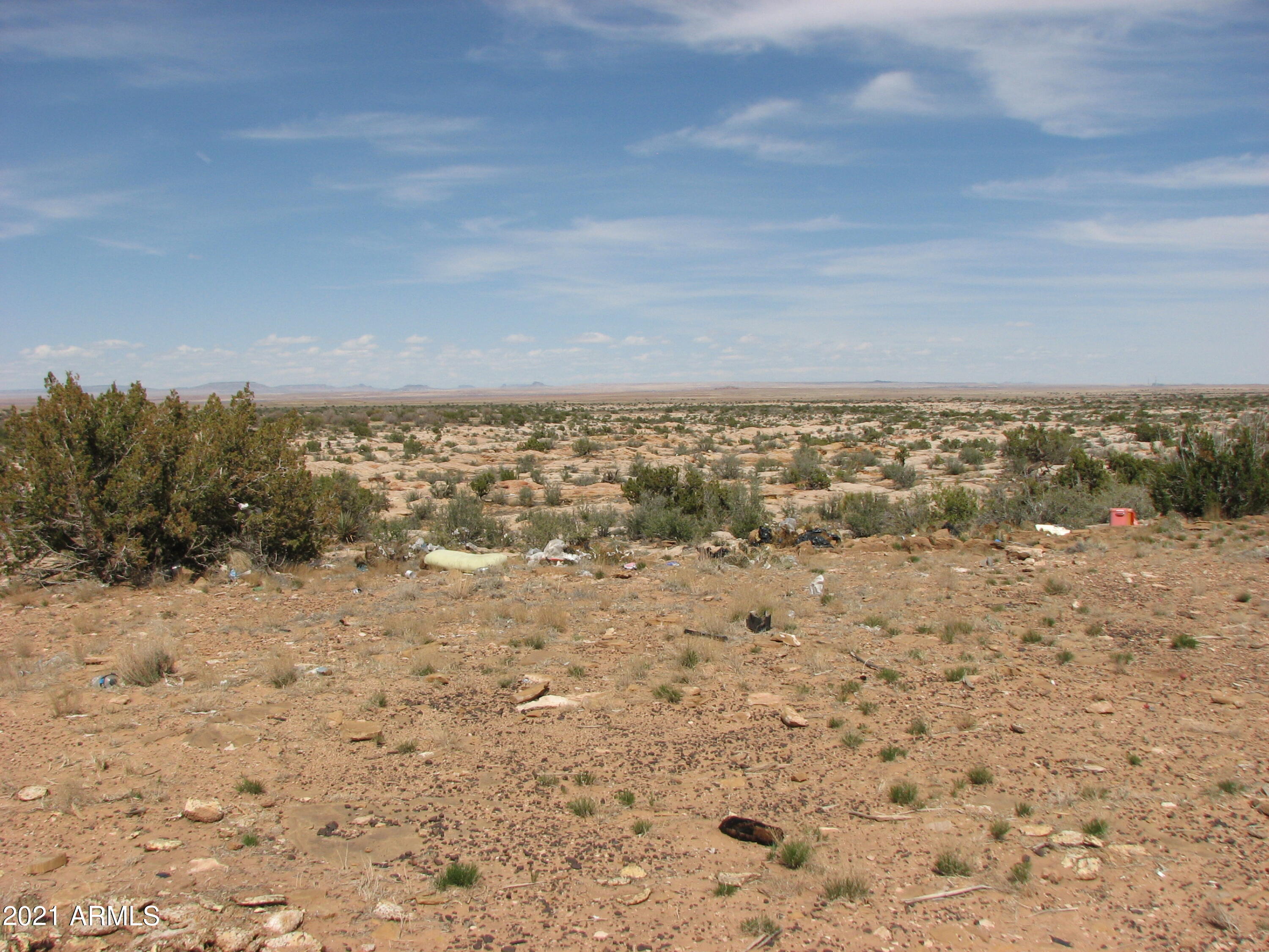 546 Flat Bush Road, Unit 815 Overgaard, AZ 85933 - Photo 3 of 7