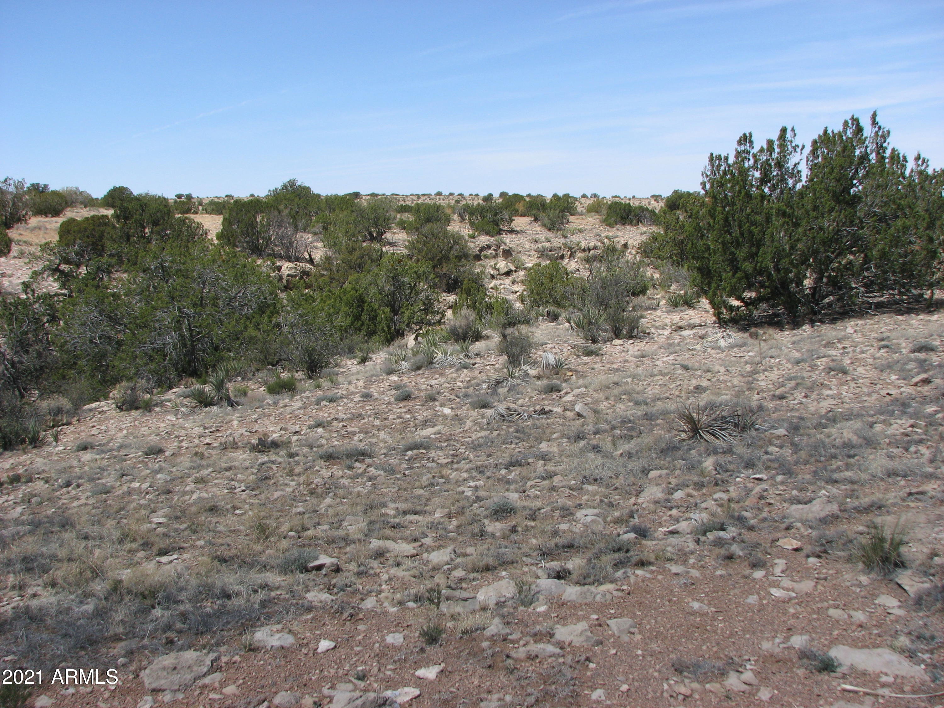 546 Flat Bush Road, Unit 815 Overgaard, AZ 85933 - Photo 6 of 7 a view of a covered with trees in the background