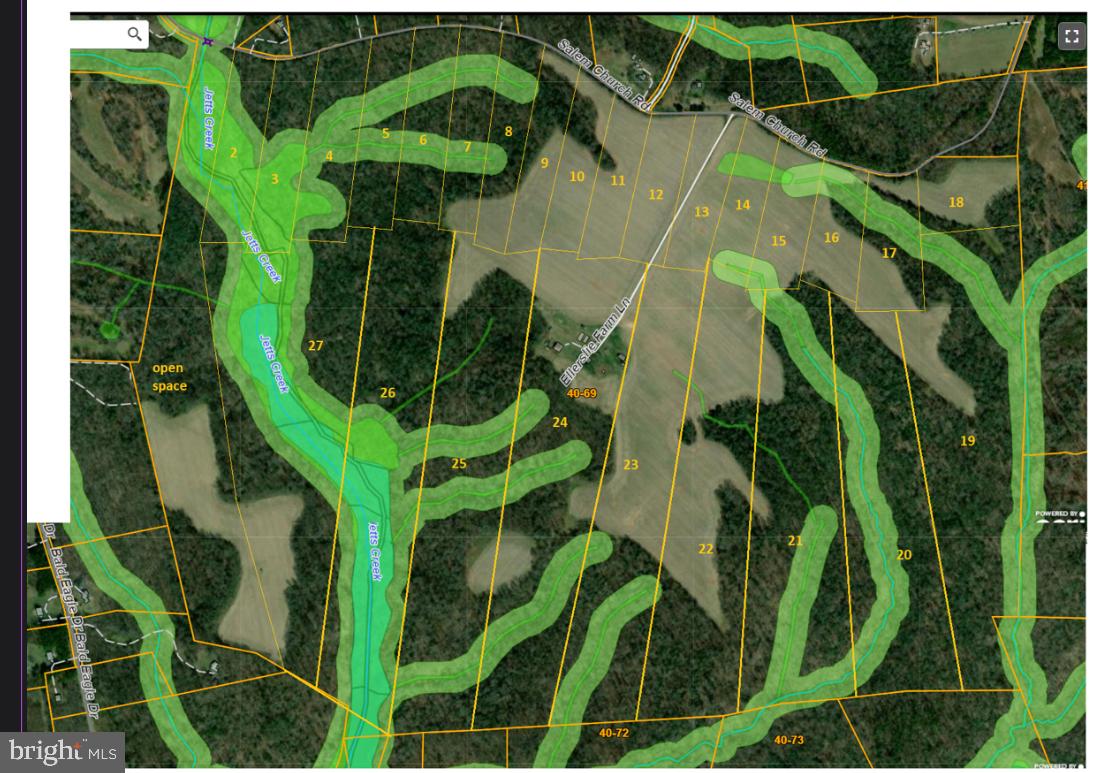 Lot 8 Salem Church Road King George, VA 22485 - Photo 2 of 4 a close up of a plant in a garden