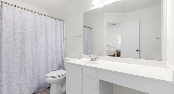 a bathroom with a sink a toilet and shower curtain