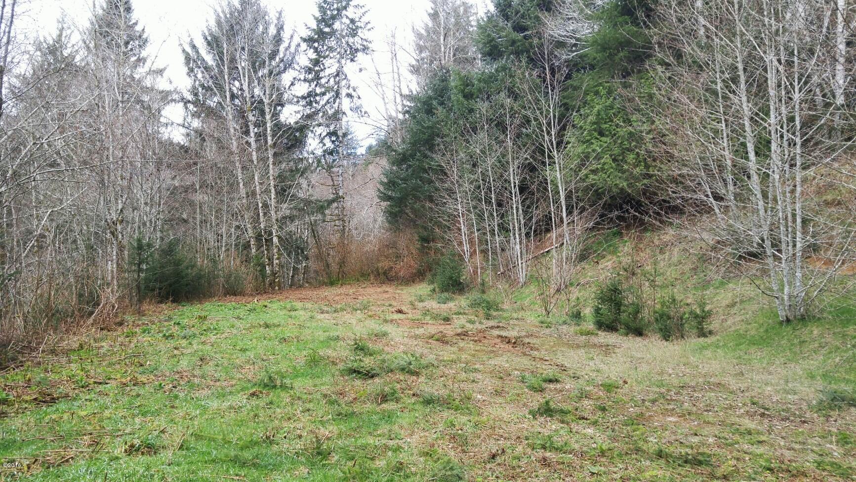 Tl202 Little Nestucca River Road Hebo, OR 97122 - Photo 10 of 10 9