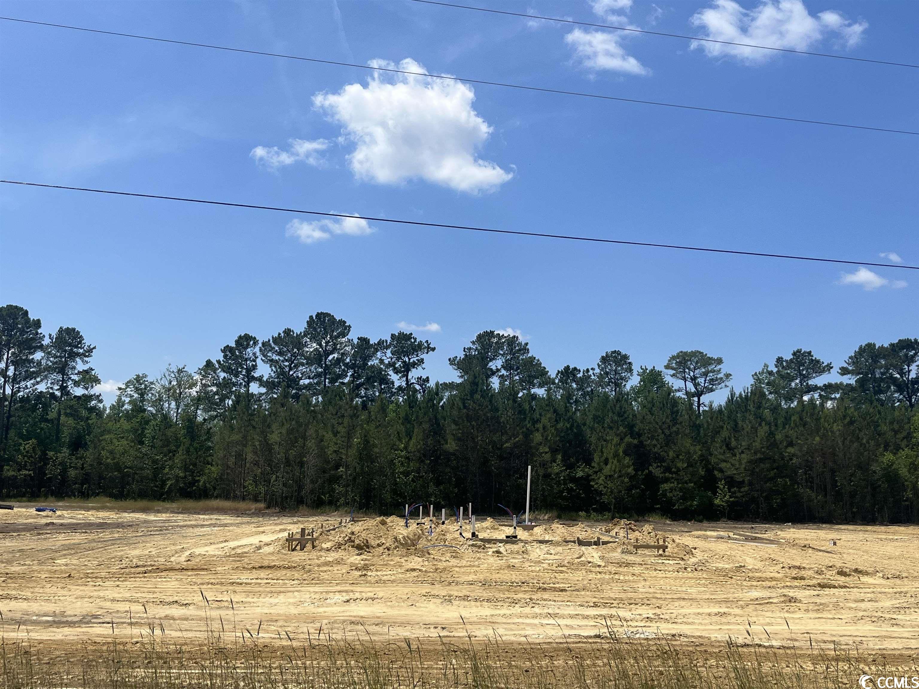 3323 B & Road Loris, SC 29569 - Photo 21 of 40