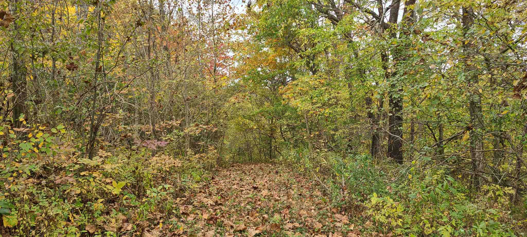 990 N Road Worthington, IN 47471 - Photo 2 of 3