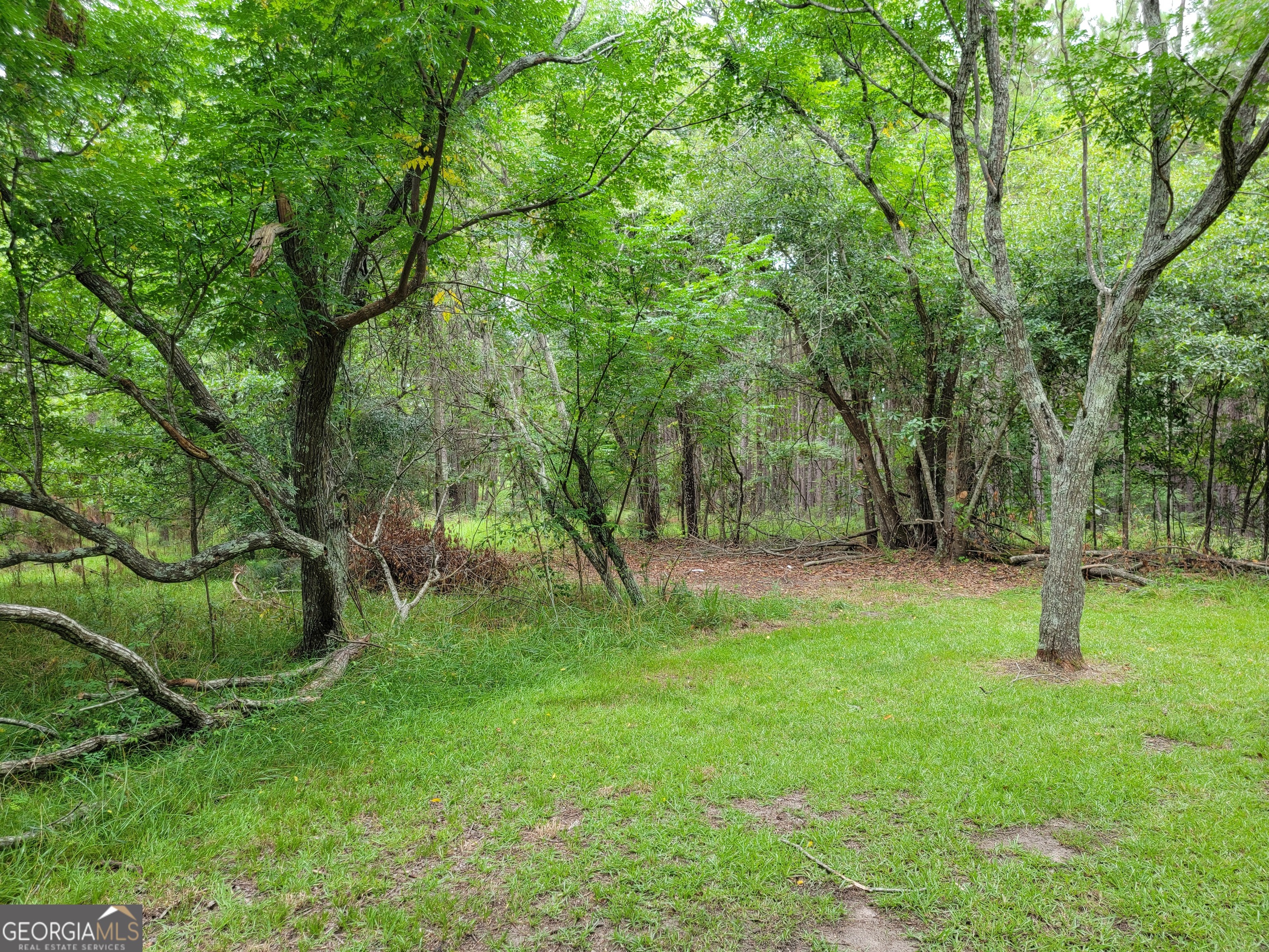 367 Mt Pleasant Church Road Gordon, GA 31031 - Photo 12 of 34