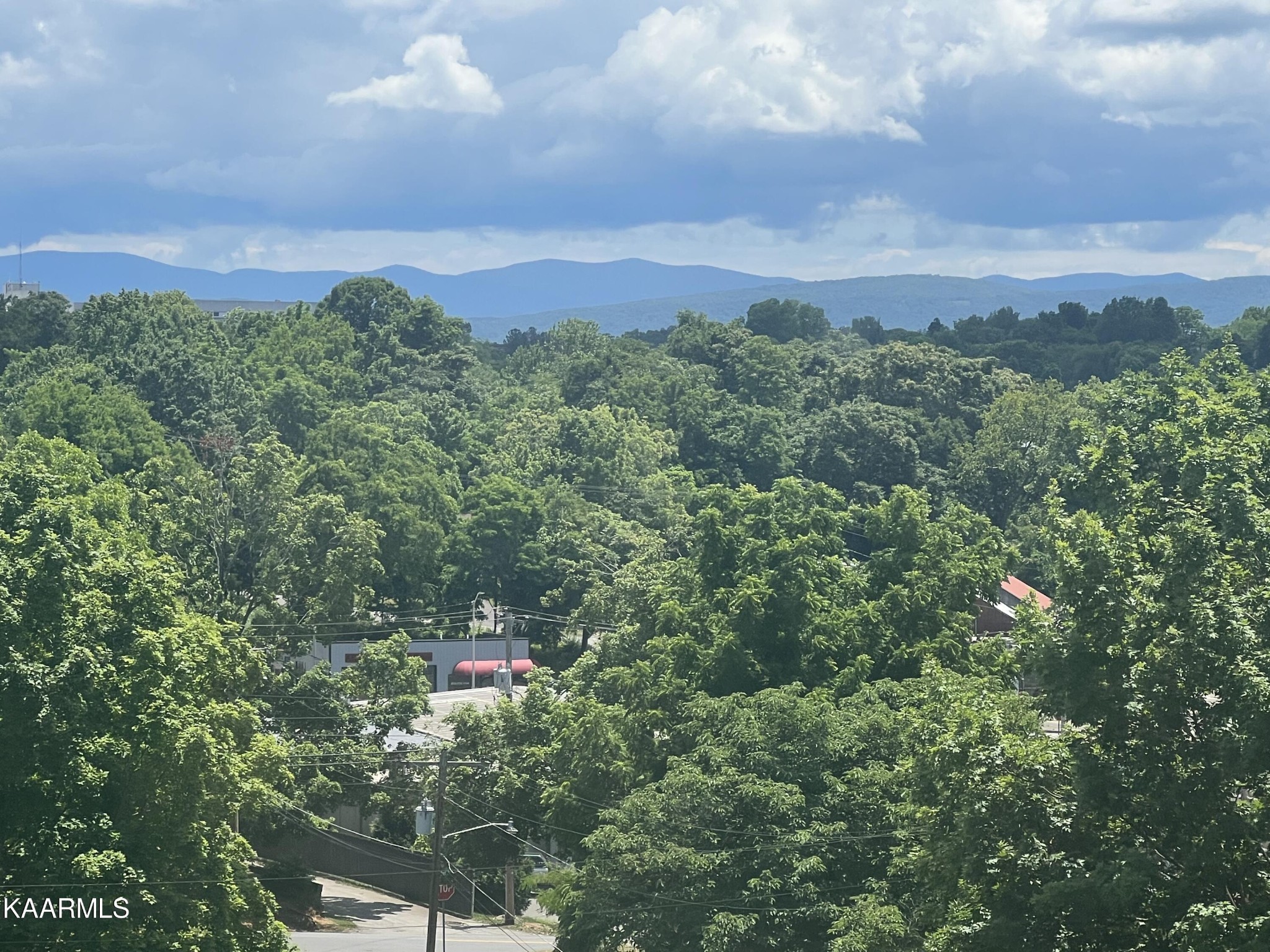 114 Bishop Street Alcoa, TN 37701 - Photo 5 of 20 a view of a city with lush green forest