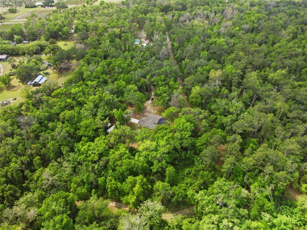 11374 Trail Ridge Run Brooksville, FL 34601 - Photo 60 of 64 Gallery Image 60