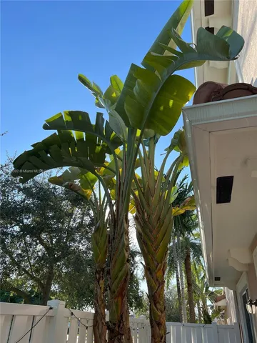 a close up of a flower in a garden