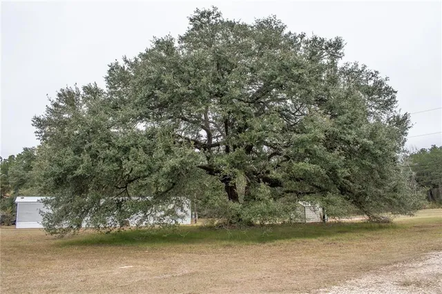 $850 | 13225 Old Genessee Road, Unit 2, Tickfaw, LA 70466