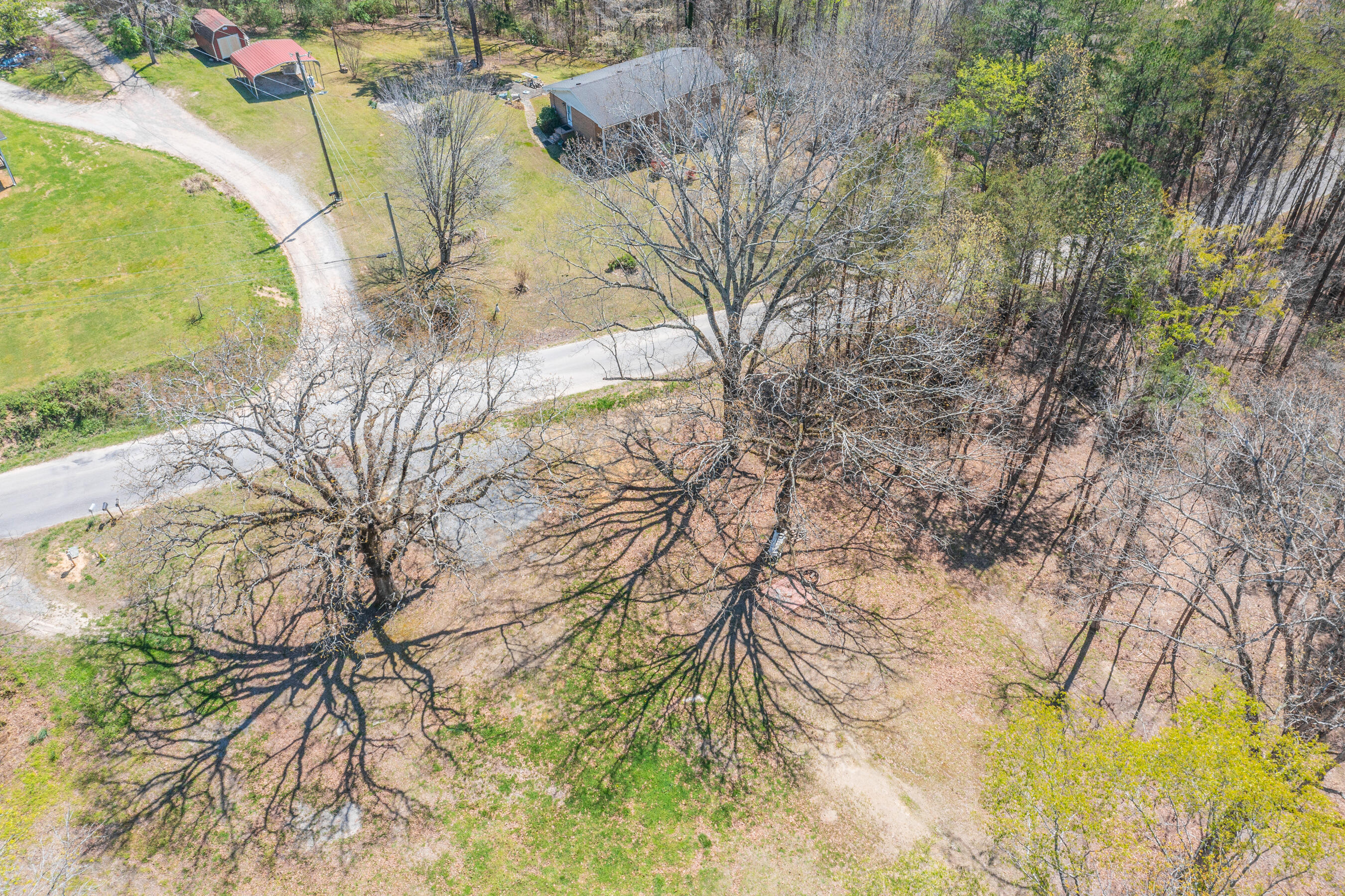 1140 West Schmitt Road Rossville, GA 30741 - Photo 11 of 17 1140 W Schmitt HD-15