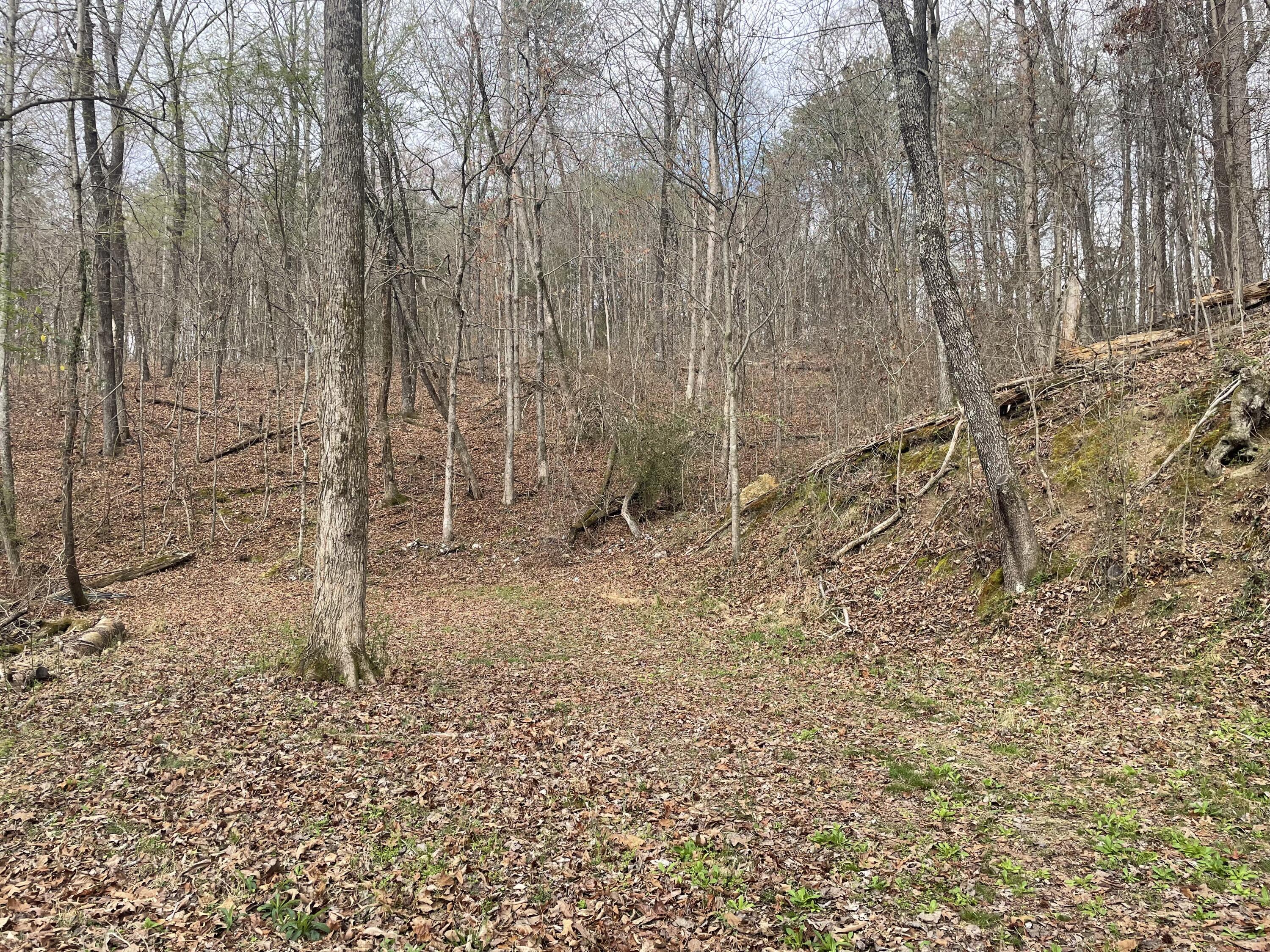 1140 West Schmitt Road Rossville, GA 30741 - Photo 15 of 17 4