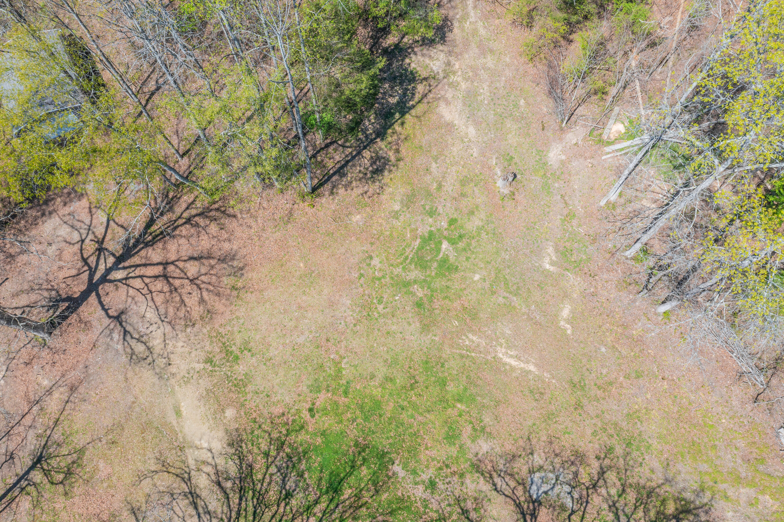 1140 West Schmitt Road Rossville, GA 30741 - Photo 5 of 17 1140 W Schmitt HD-2